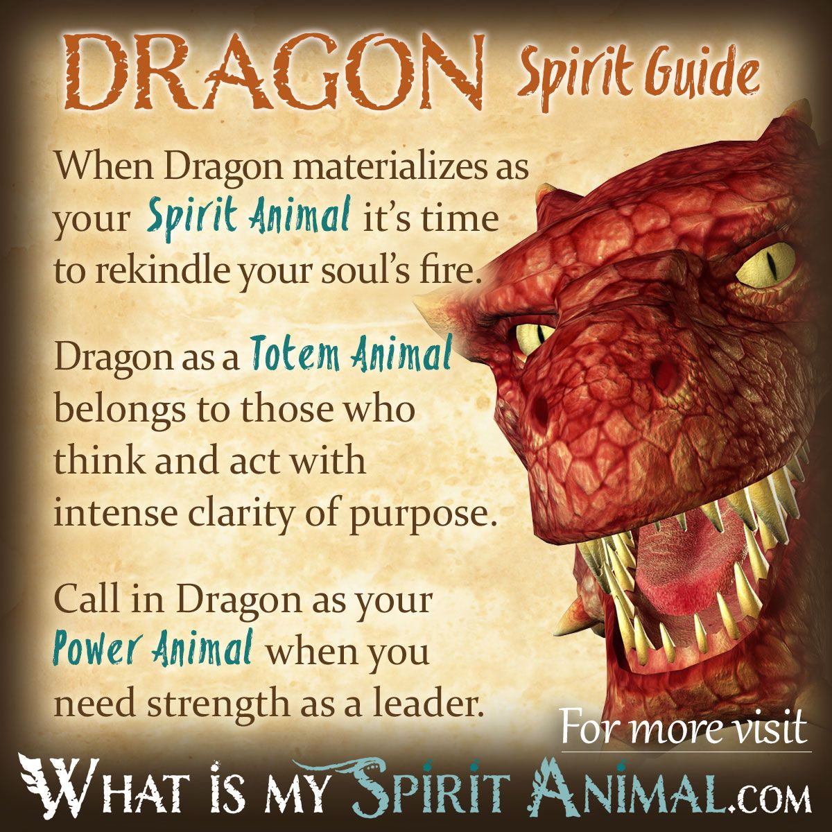 Dragon Spirit, Totem, & Power Animal Symbolism Meaning 1200x1200