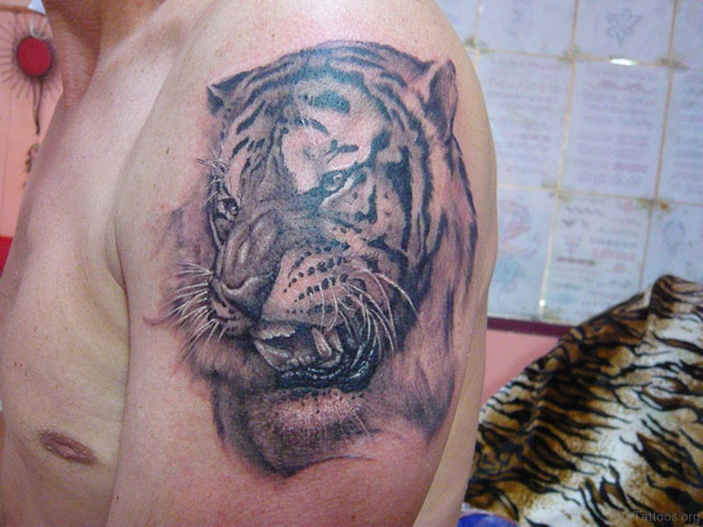 Тигр на плечо мужские. Тигр оскал реализм. Тату тигр. Тату тигр на плече. Тату тигр на плече мужские.
