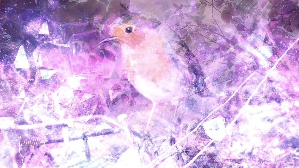 Robin Bird Spiritual Meaning