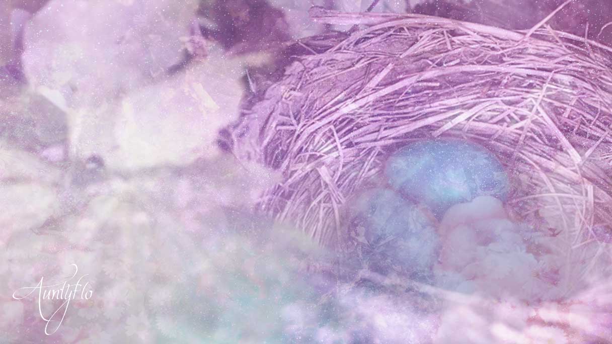 Robins Nest And Eggs