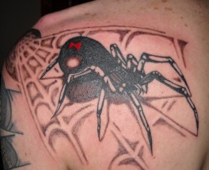 татуировка паук в паутине.