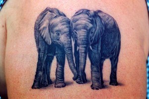 татуировка два слона