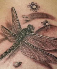 значение татуировки стрекоза
