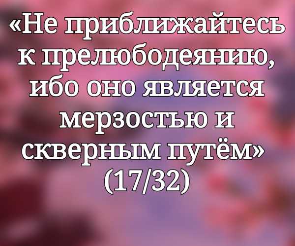 Море зеркало уважение контроль какое слово лишнее