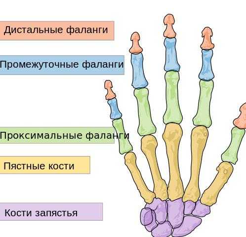 Девятка с девятью углами на запястье фото