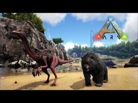 Ark самый быстрый летун