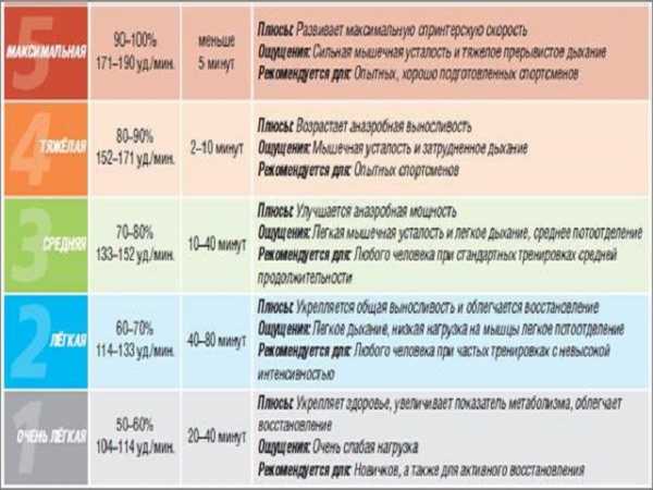 Картина пульс какой метод