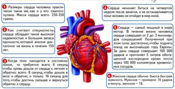 Как построить сердце в экселе