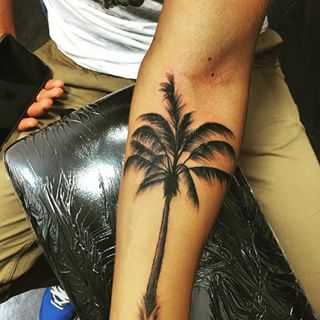 Татуировка пальма на ноге - Тату "Пальма" на ноге ...